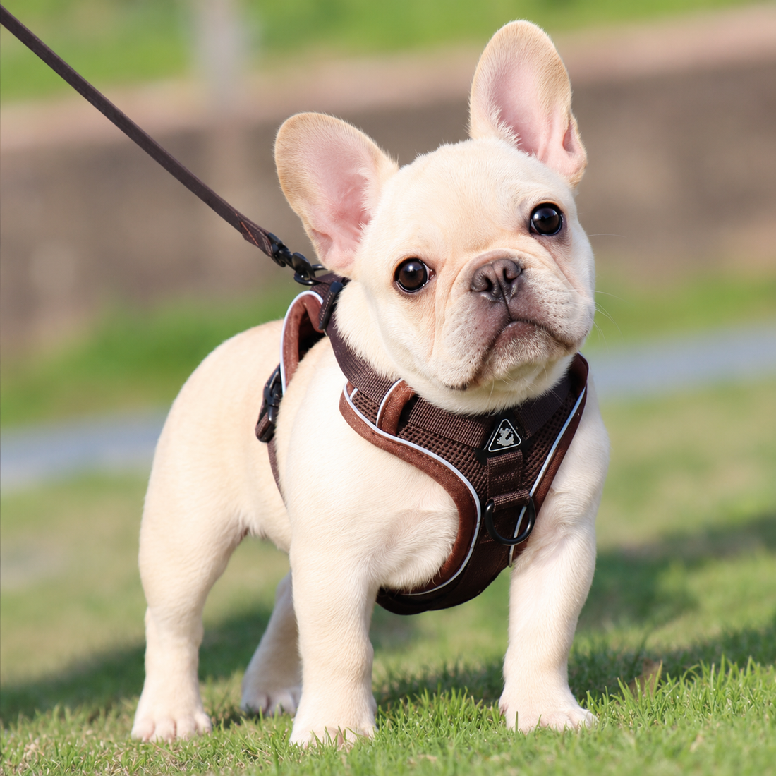 Brown Reflective Mesh Dog Harness and Leash Set - Adjustable No-Pull Vest - M
