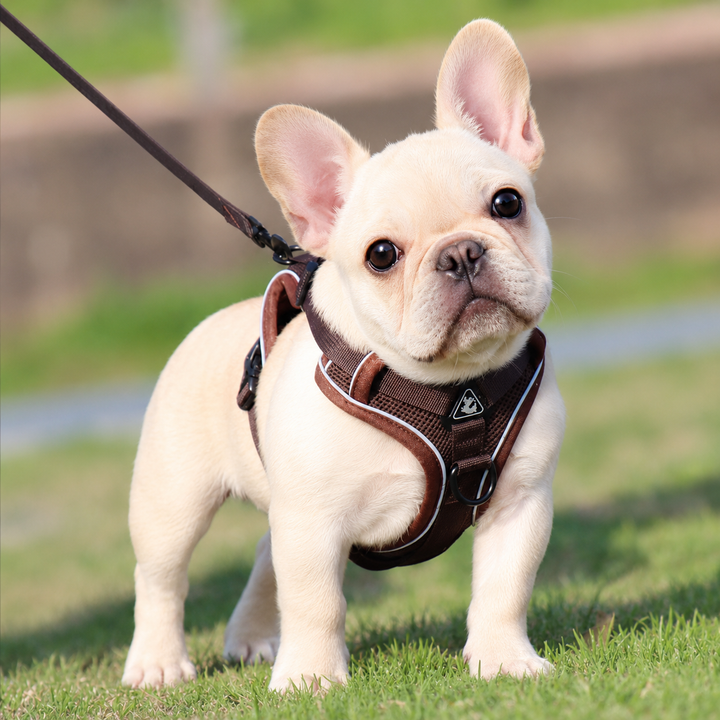 Brown Reflective Mesh Dog Harness and Leash Set - Adjustable No-Pull Vest - M
