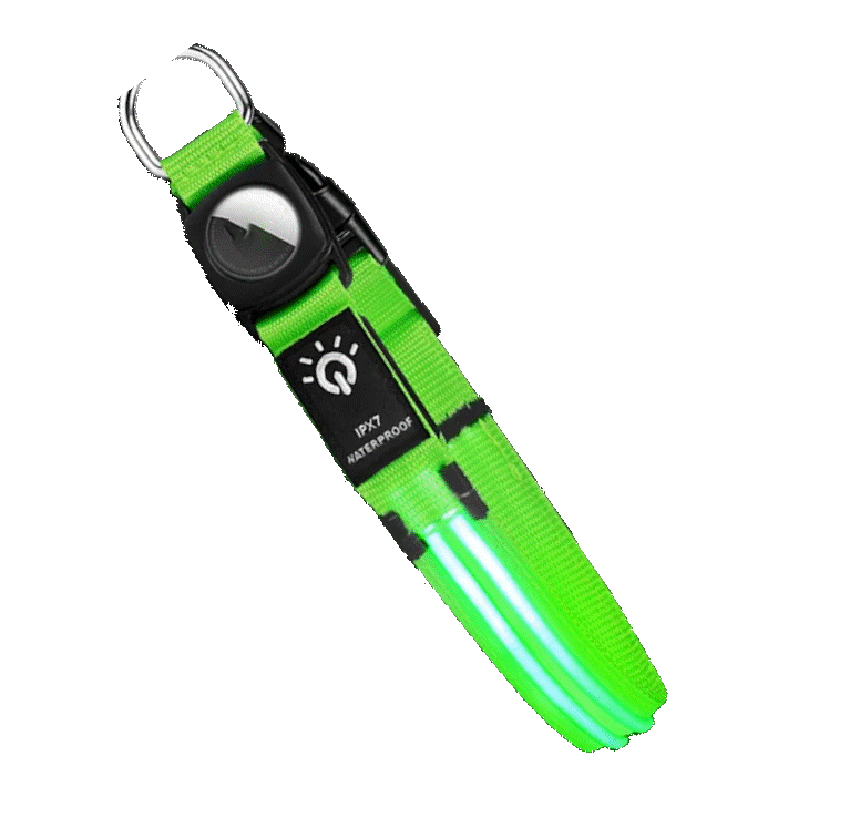 Spiffy Puffy find Waterproof LED Dog Collar - Green