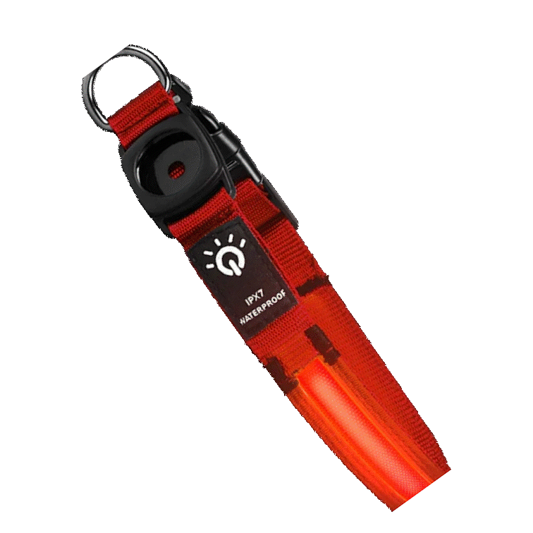 Spiffy Puffy find Waterproof LED Dog Collar - Red