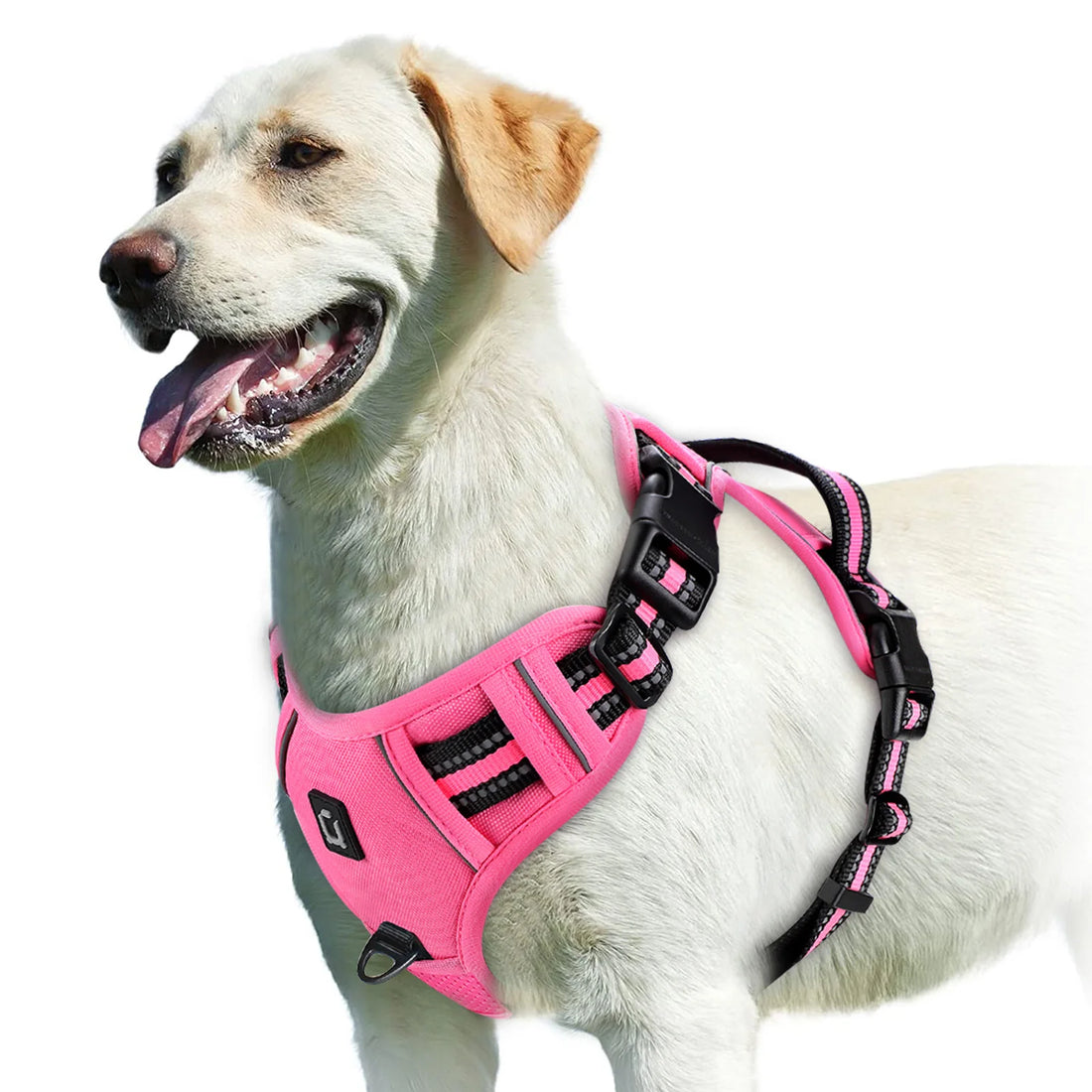No Pull Adjustable Soft Padded Dog Harness with Control Handle