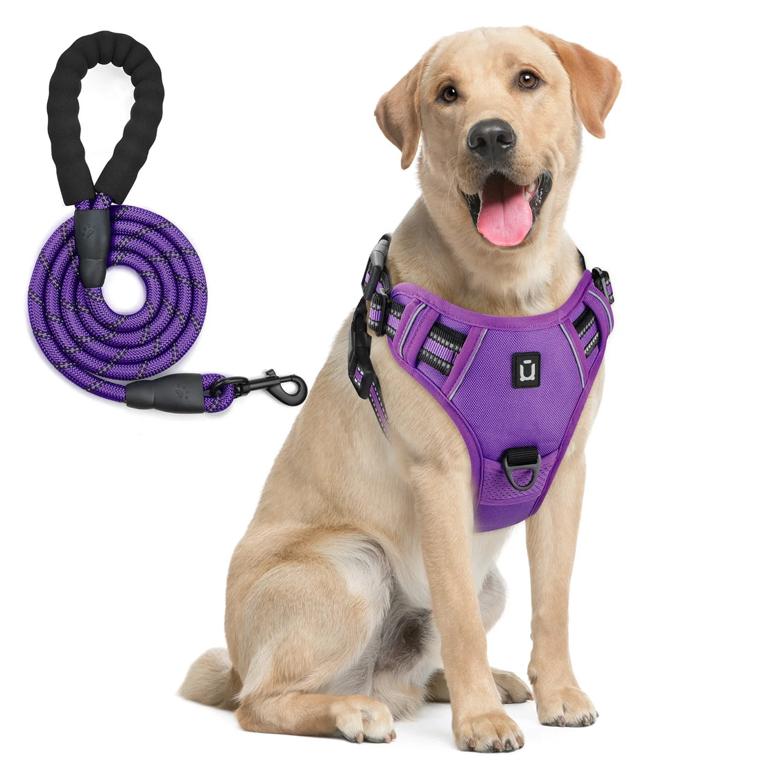 Escape Proof Reflective Dog Harness and Leash Combo with Soft Padded Vest