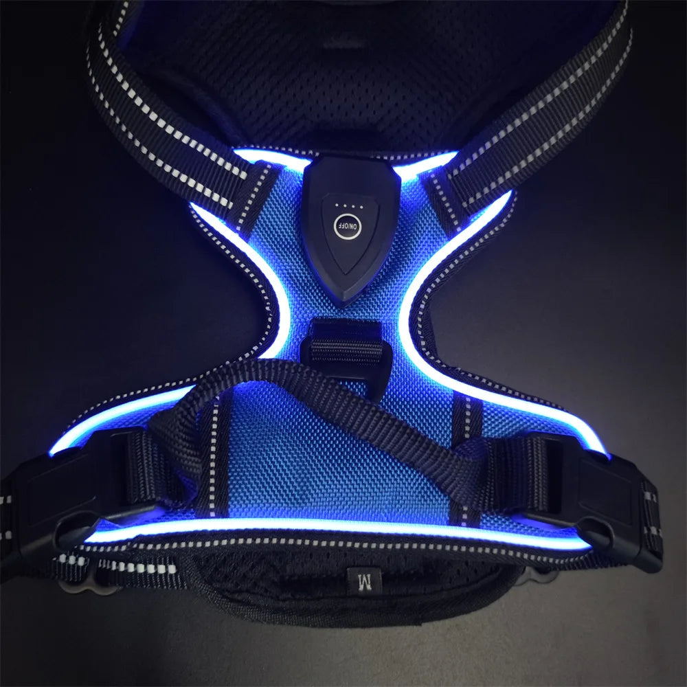 Luminous LED Dog Harness for Night Safety - 3 Light Modes, Rechargeable