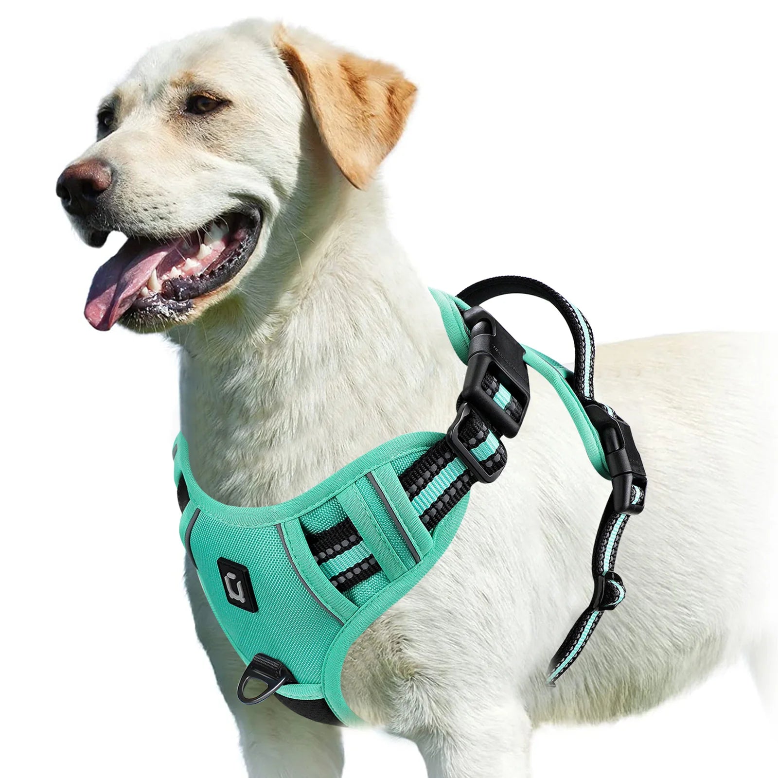 No Pull Adjustable Soft Padded Dog Harness with Control Handle