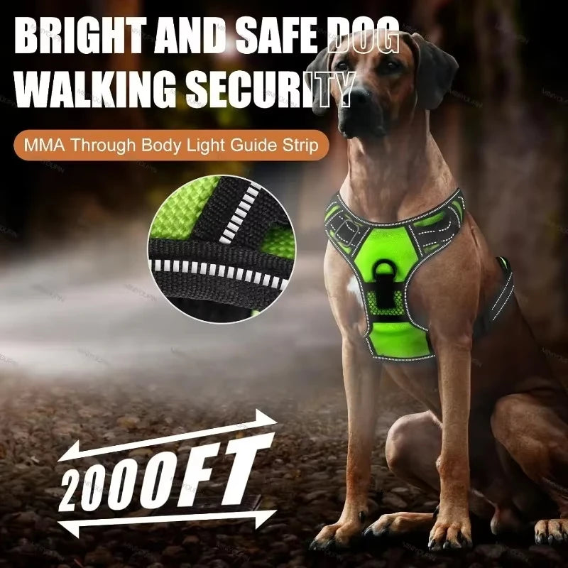 Luminous LED Dog Harness for Night Safety - 3 Light Modes, Rechargeable