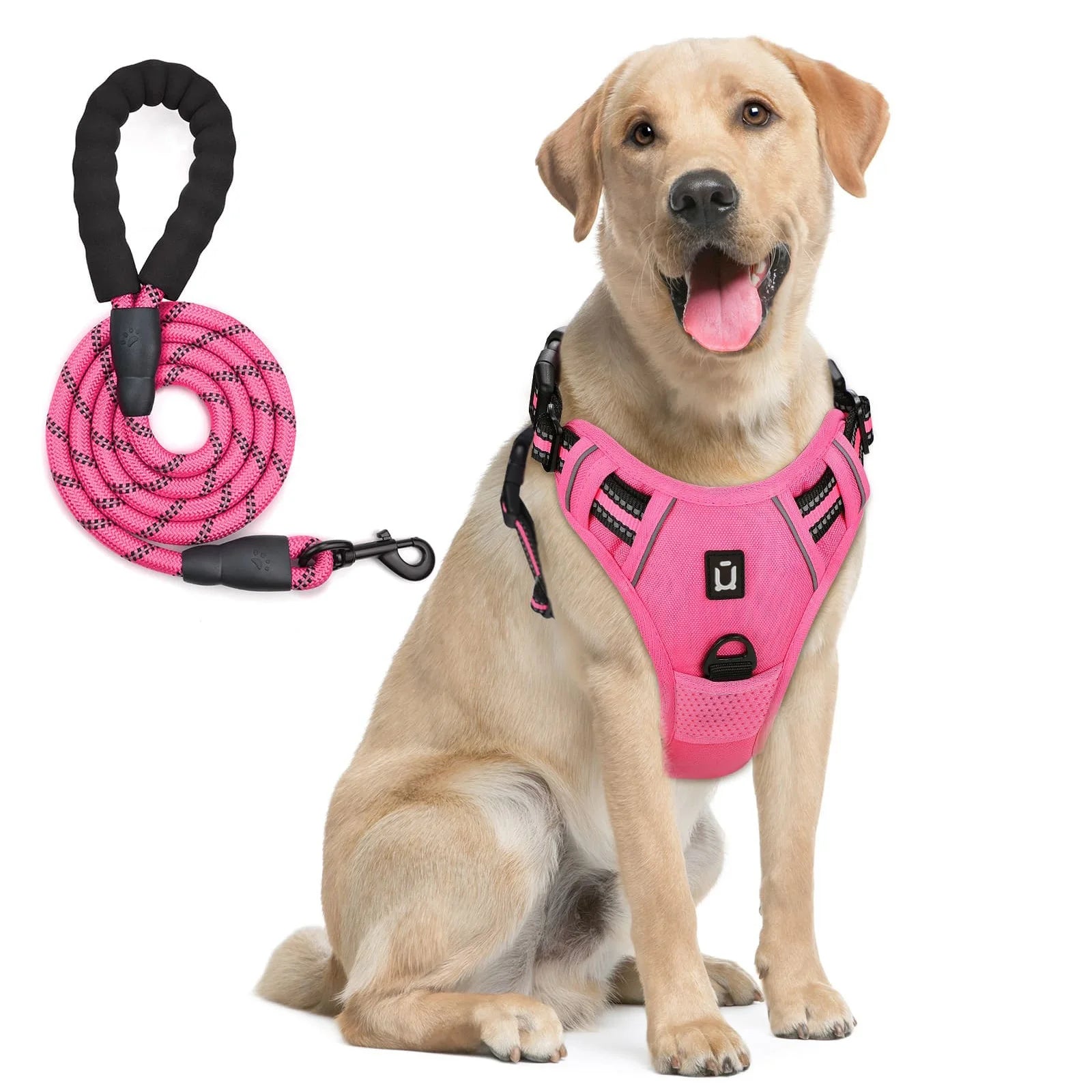 Escape Proof Reflective Dog Harness and Leash Combo with Soft Padded Vest