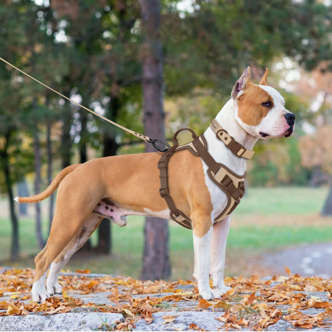 Luxury Adjustable No Pull Dog Harness in Chocolate Color