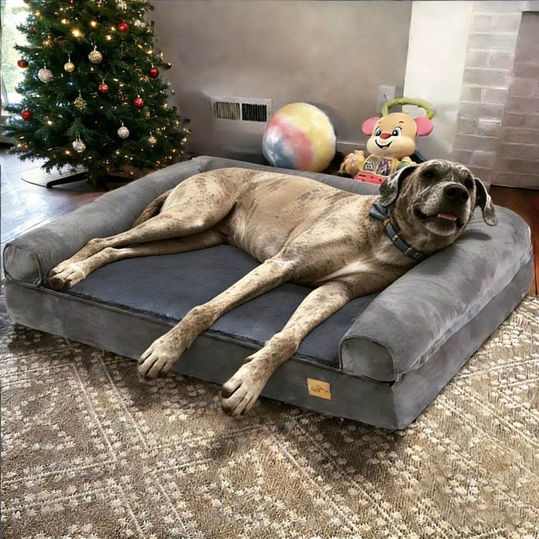 BORWART XXXL Large Orthopedic Memory Foam Calming Dog Bed with Removable Waterproof Cover