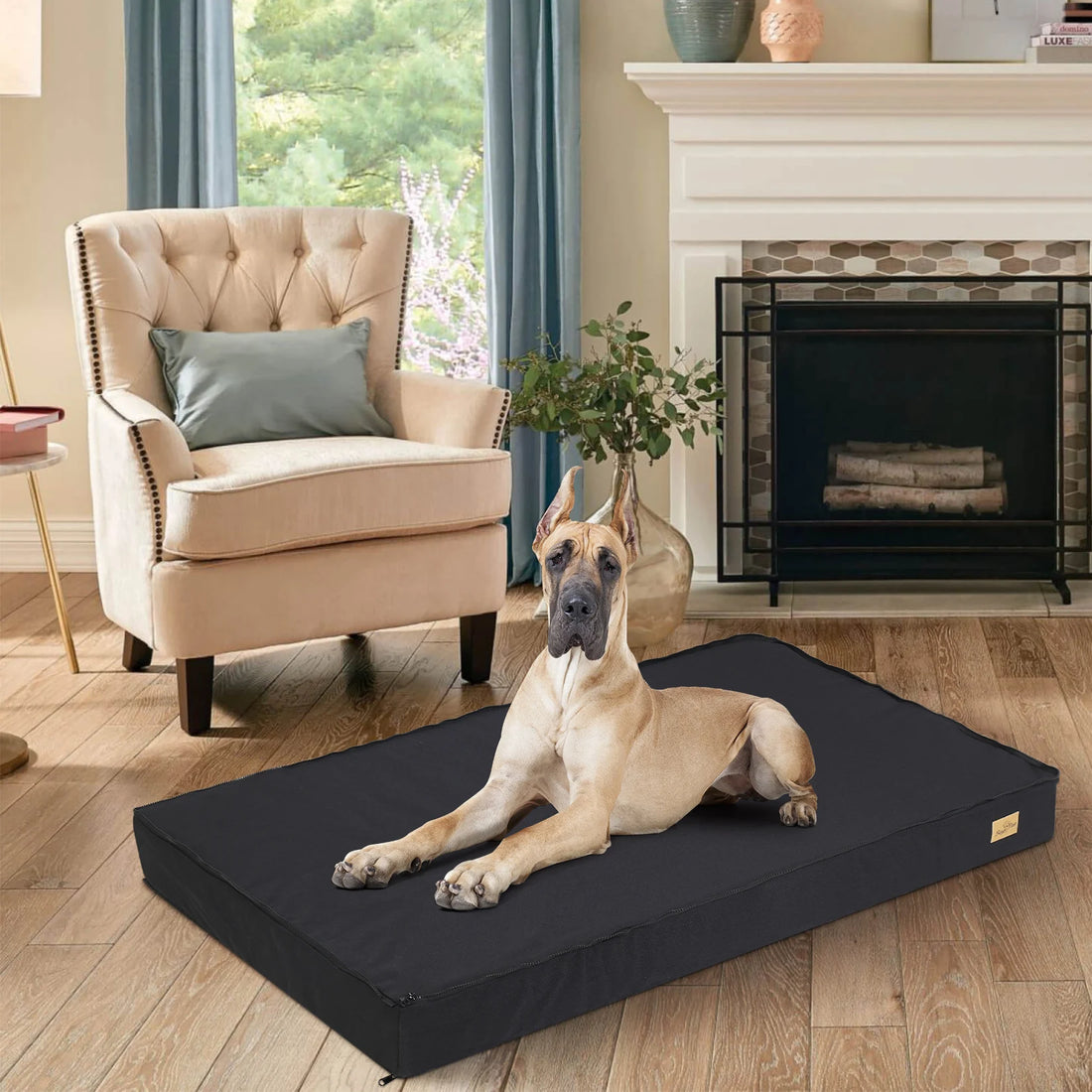 Jumbo Orthopedic Dog Bed with Memory Foam & Washable Waterproof Cover