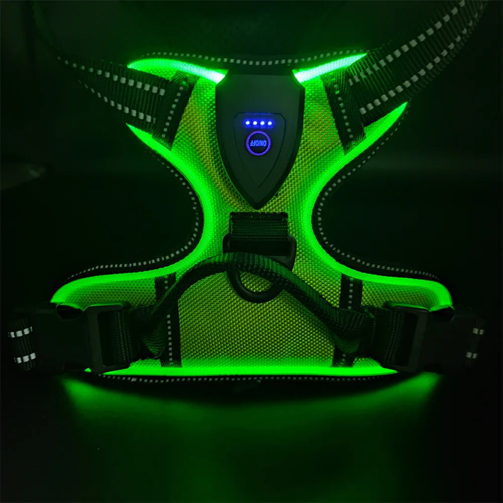 Luminous LED Dog Harness for Night Safety - 3 Light Modes, Rechargeable
