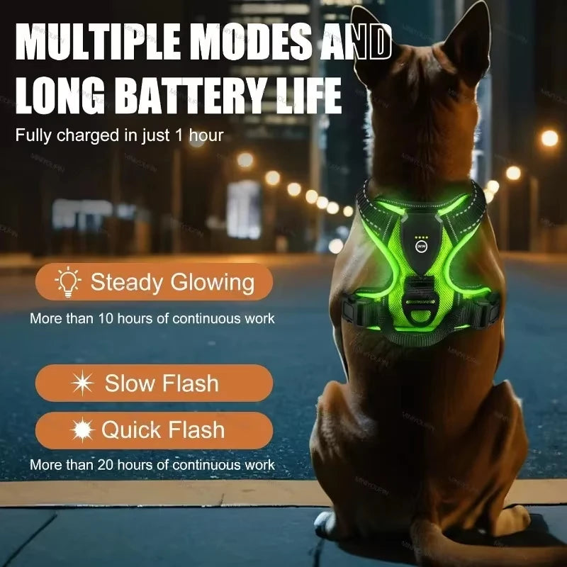 Luminous LED Dog Harness for Night Safety - 3 Light Modes, Rechargeable