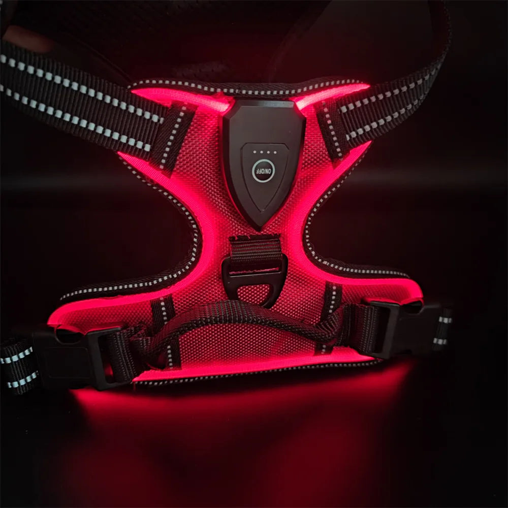 Luminous LED Dog Harness for Night Safety - 3 Light Modes, Rechargeable
