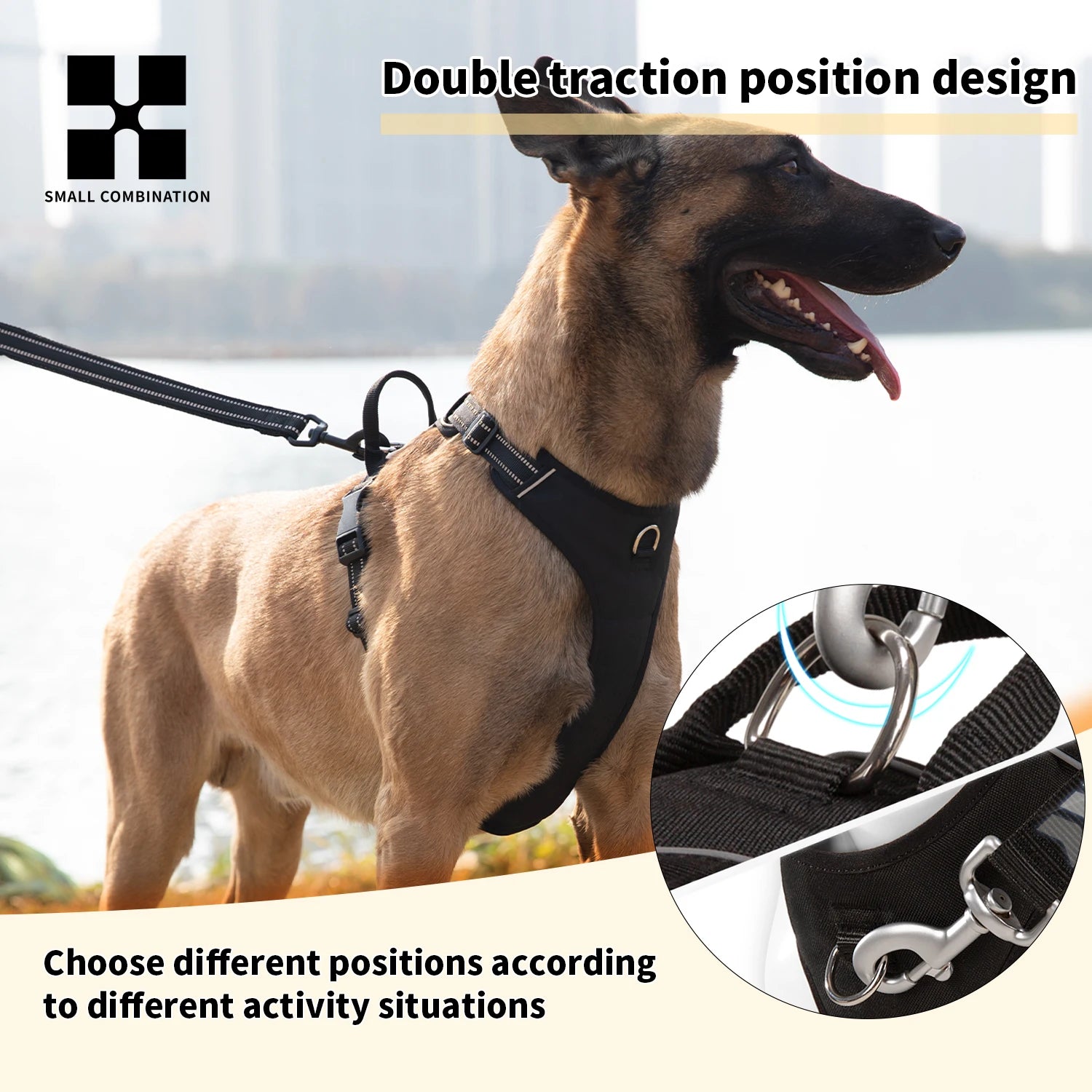 No Pull Reflective Adjustable Dog Harness for Small to Large Dogs