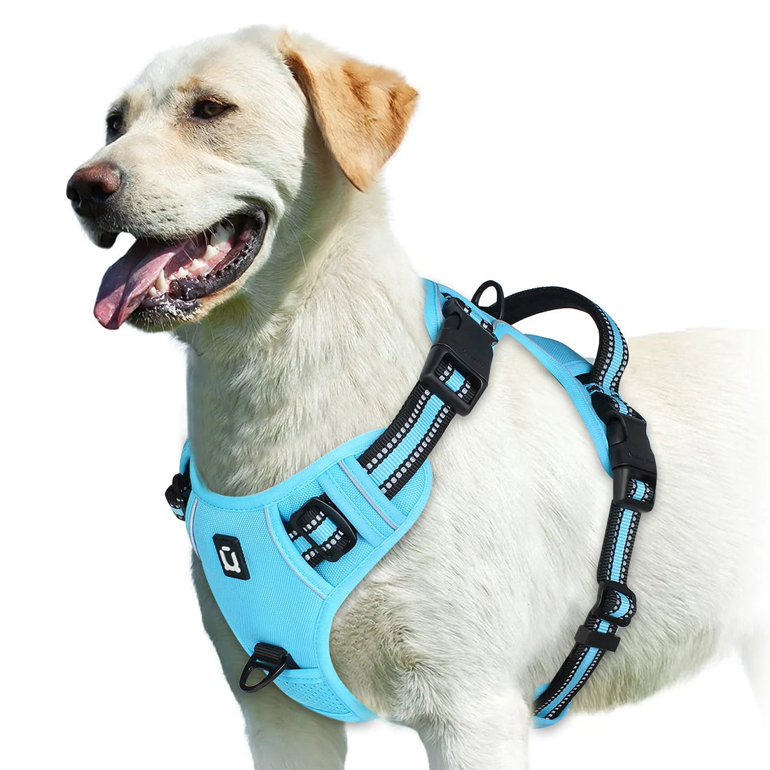 No Pull Adjustable Soft Padded Dog Harness with Control Handle