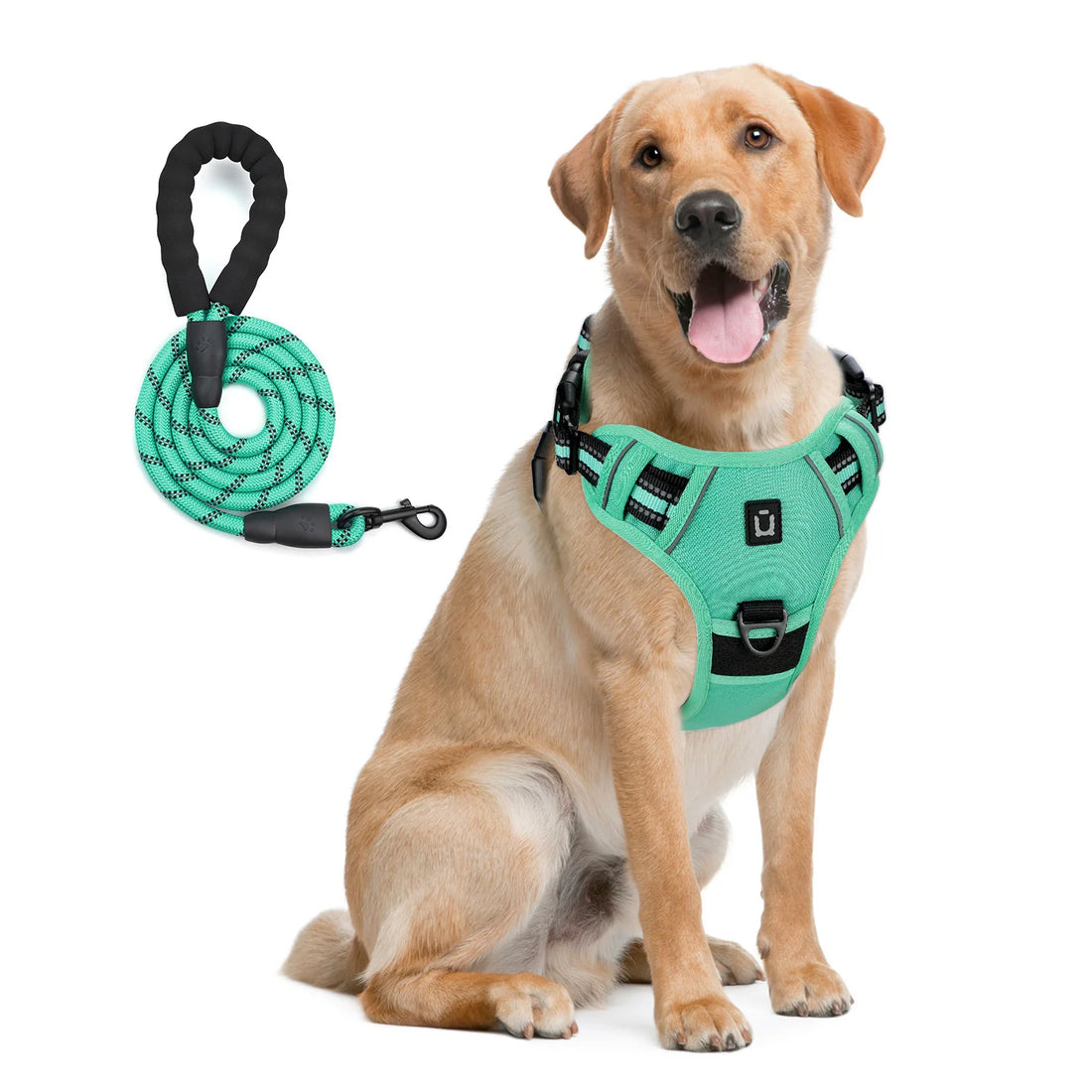 Escape Proof Reflective Dog Harness and Leash Combo with Soft Padded Vest