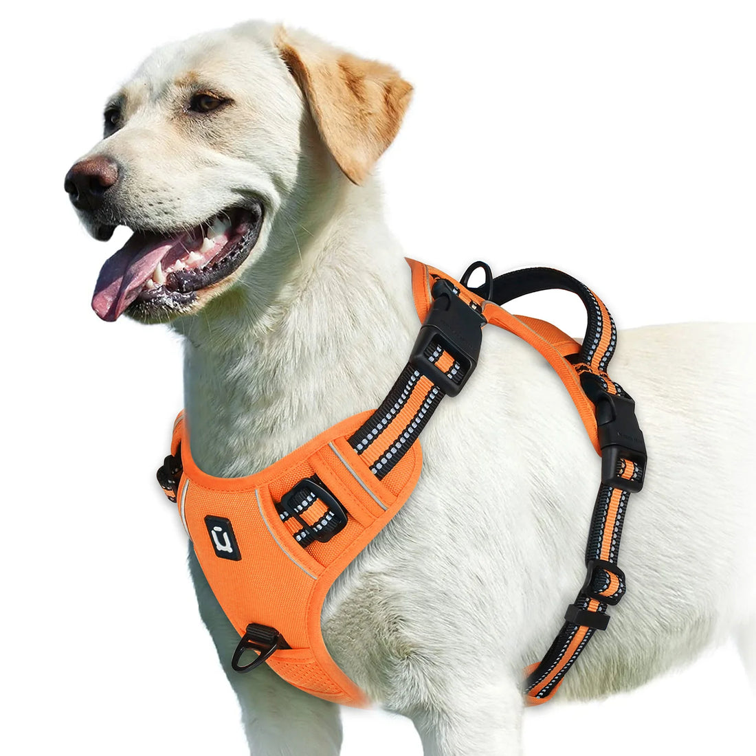 No Pull Adjustable Soft Padded Dog Harness with Control Handle