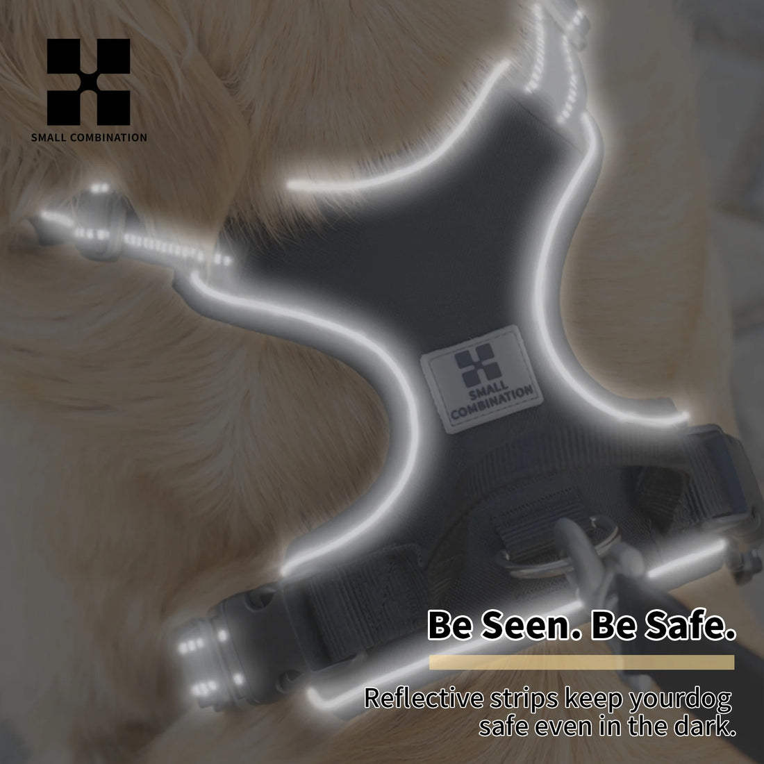 No Pull Reflective Adjustable Dog Harness for Small to Large Dogs