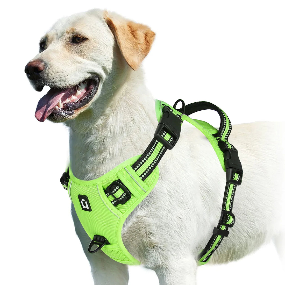 No Pull Adjustable Soft Padded Dog Harness with Control Handle