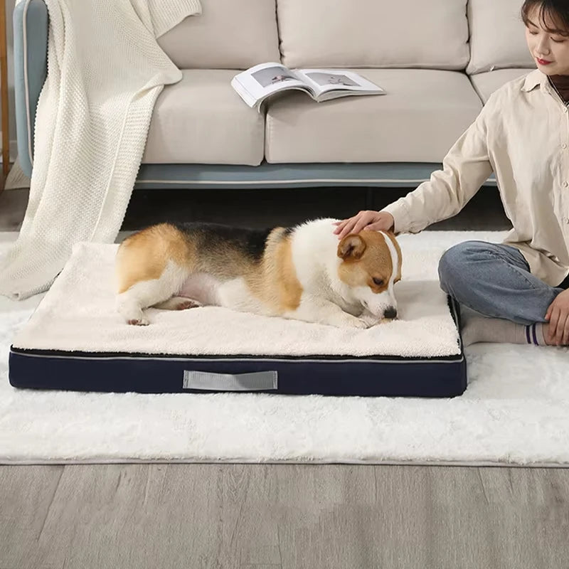 Cozy Memory Foam Dog Bed with Removable Washable Cover
