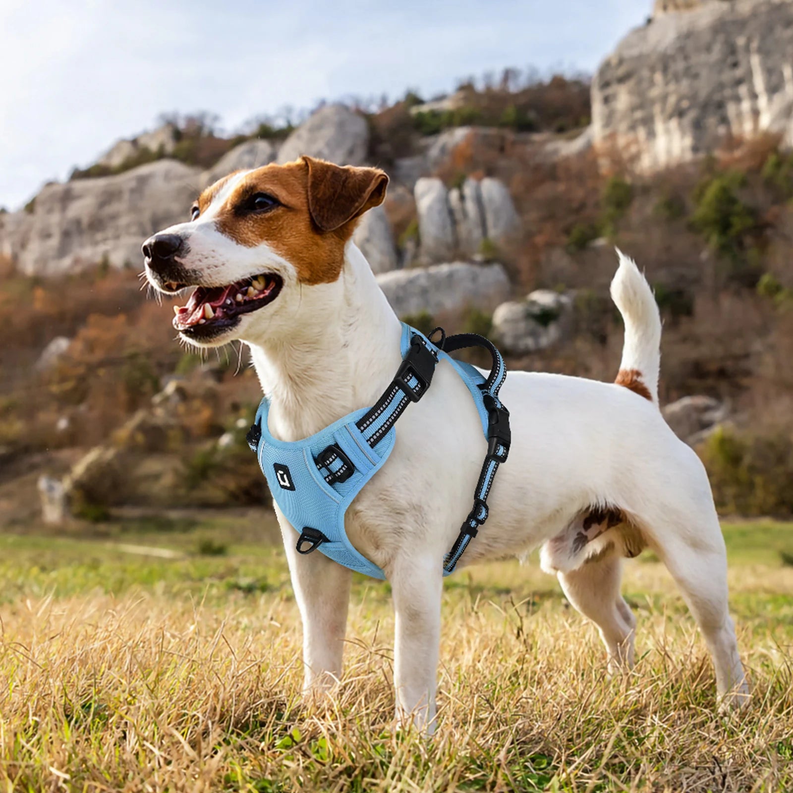 Escape Proof Reflective Dog Harness and Leash Combo with Soft Padded Vest