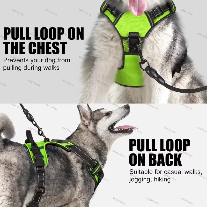 Luminous LED Dog Harness for Night Safety - 3 Light Modes, Rechargeable