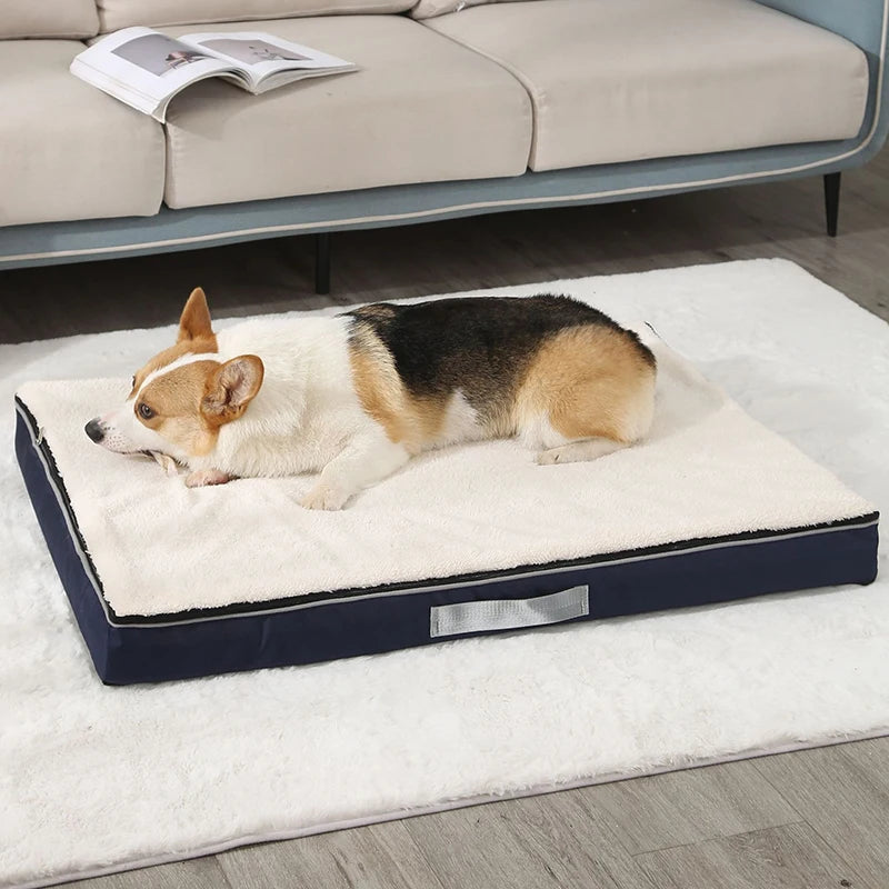 Cozy Memory Foam Dog Bed with Removable Washable Cover