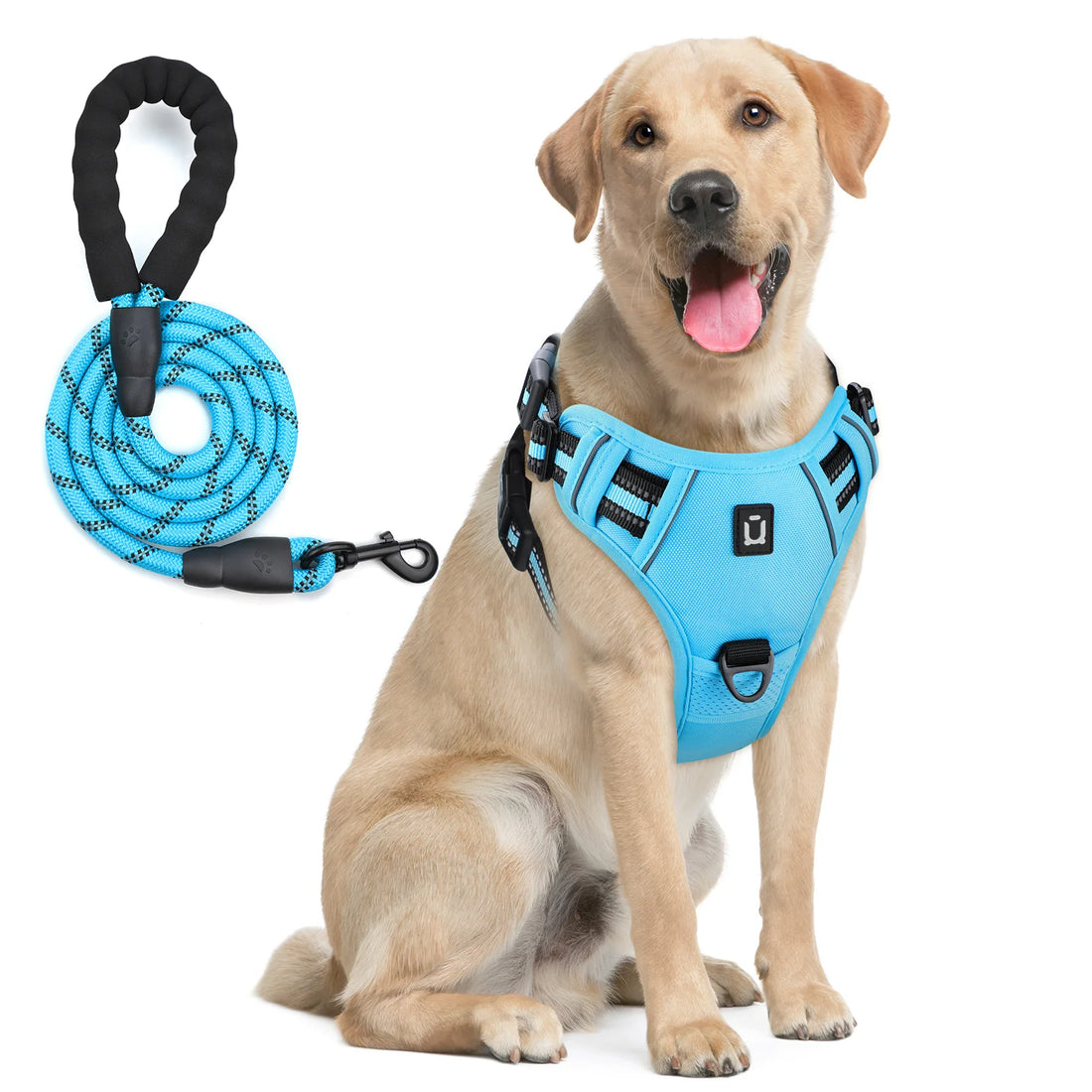 Escape Proof Reflective Dog Harness and Leash Combo with Soft Padded Vest