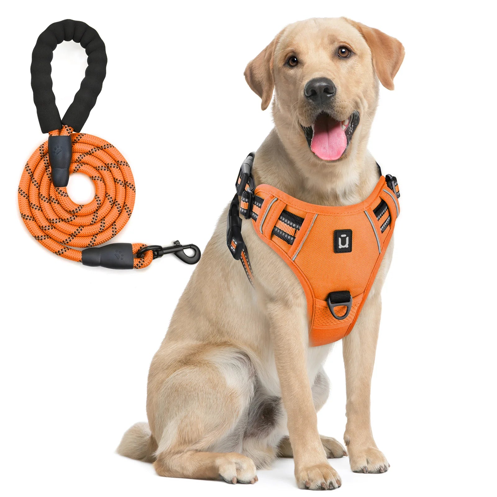 Escape Proof Reflective Dog Harness and Leash Combo with Soft Padded Vest