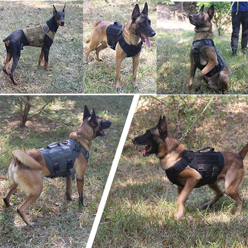 COOYOMO Tactical Military Vest Harness & Leash Set for All Dog Breeds