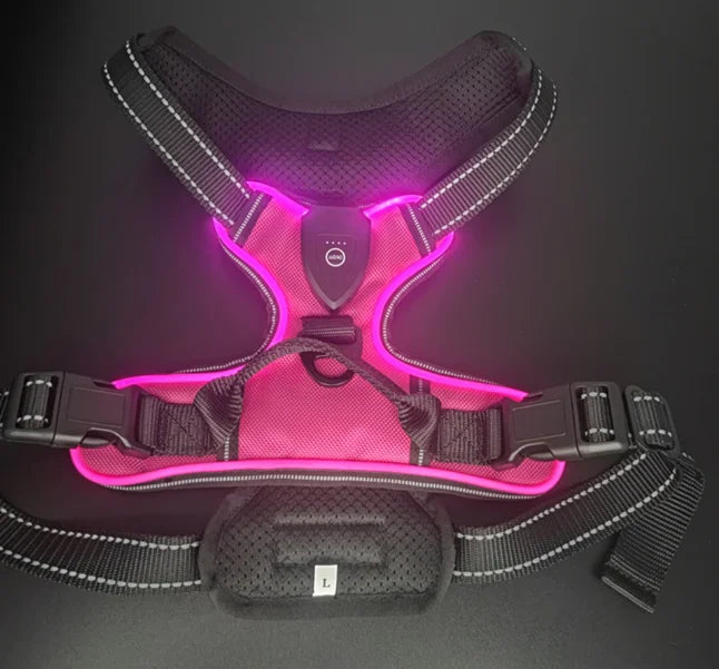 Luminous LED Dog Harness for Night Safety - 3 Light Modes, Rechargeable