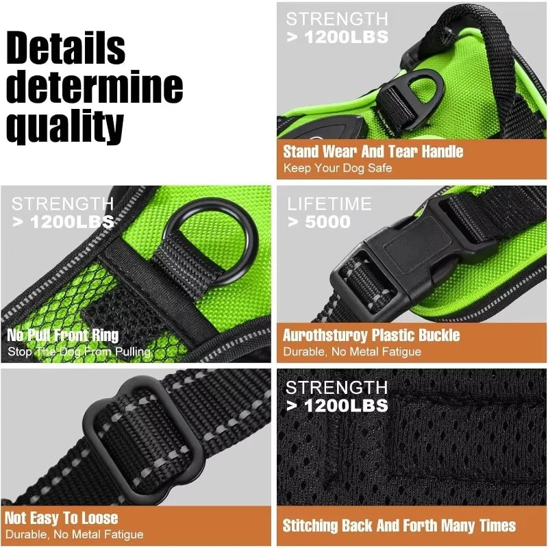 Luminous LED Dog Harness for Night Safety - 3 Light Modes, Rechargeable