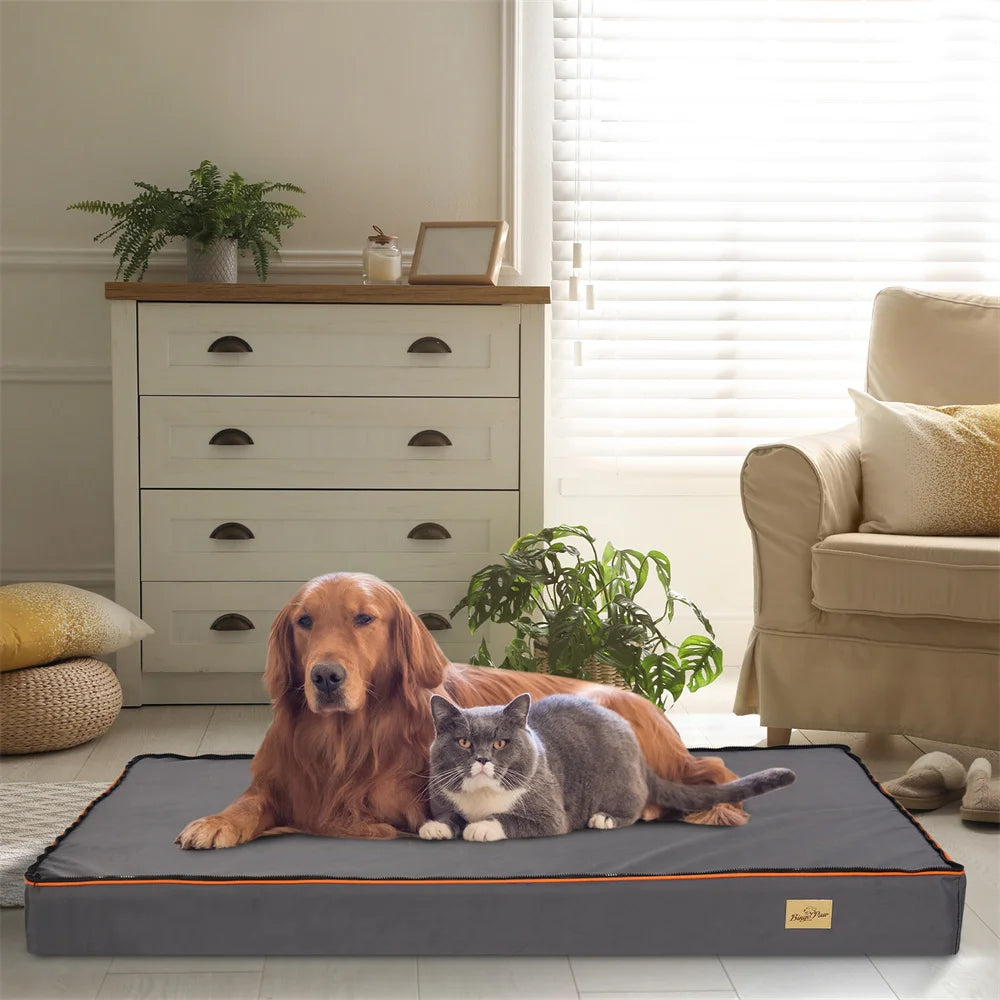 Premium Waterproof Orthopedic Memory Foam Dog Bed with Removable Covers and Orange Trim