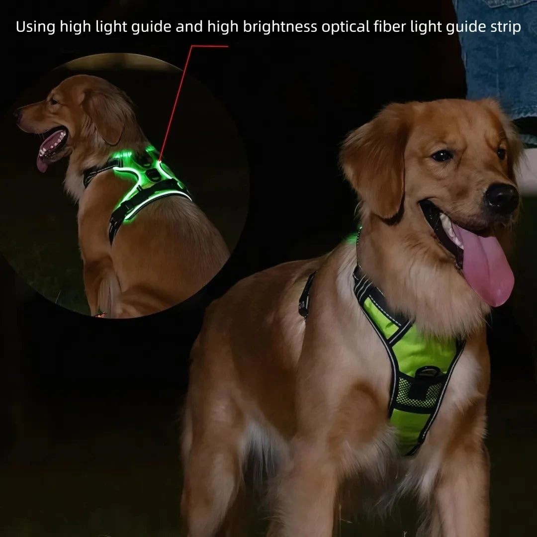 Luminous LED Dog Harness for Night Safety - 3 Light Modes, Rechargeable